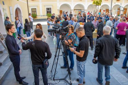 Trgatev stare trte 3